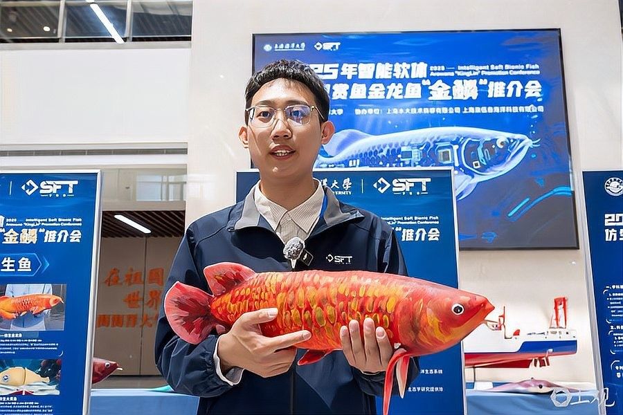金龍魚最佳游動姿態有哪些拍攝角度：拍攝金龍魚的技巧 金龍魚最佳游動姿態有哪些拍攝角度：拍攝金龍魚的技巧 龍魚百科 第6張