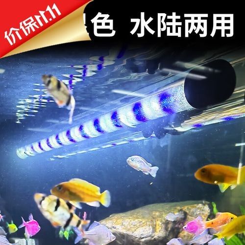 有哪些高品質魚缸燈推薦？：綜合市場口碑和性能表現的高品質魚缸燈推薦