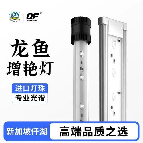龍魚專用燈哪個品牌好？：馬印神燈龍魚燈
