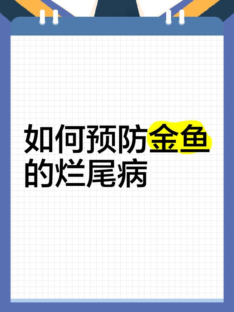 如何預防金龍魚爛尾？：金龍魚爛尾的罪魁禍首:水質管理不當的三大致命傷山色倚晴空