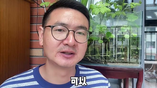 如何治療打粉病？：硫磺、甲基托布津和多菌靈的使用比例是多少養魚老道