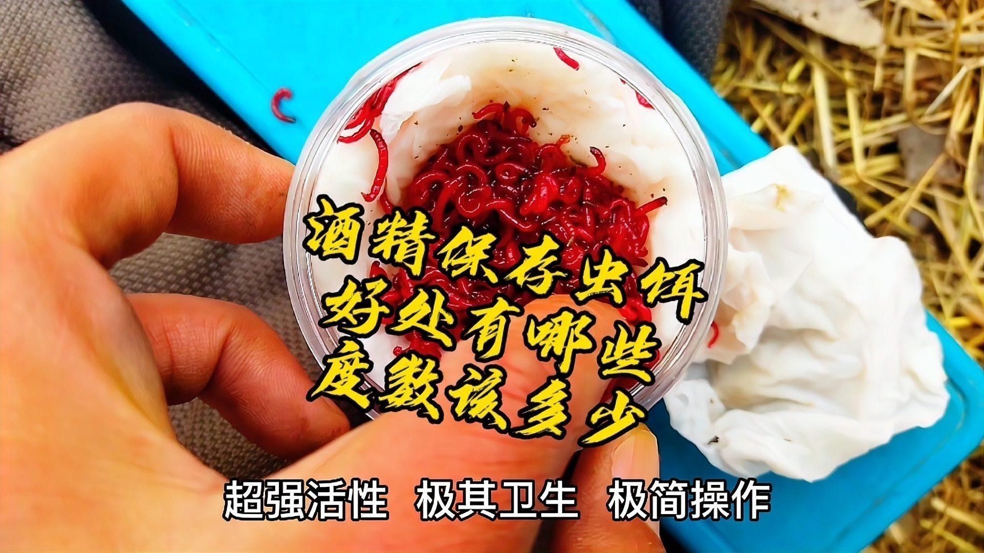 如何處理活餌以確保衛生：\