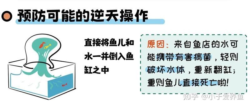 藍曼龍魚換水后多久會適應？：藍曼龍魚換水后多久喂食