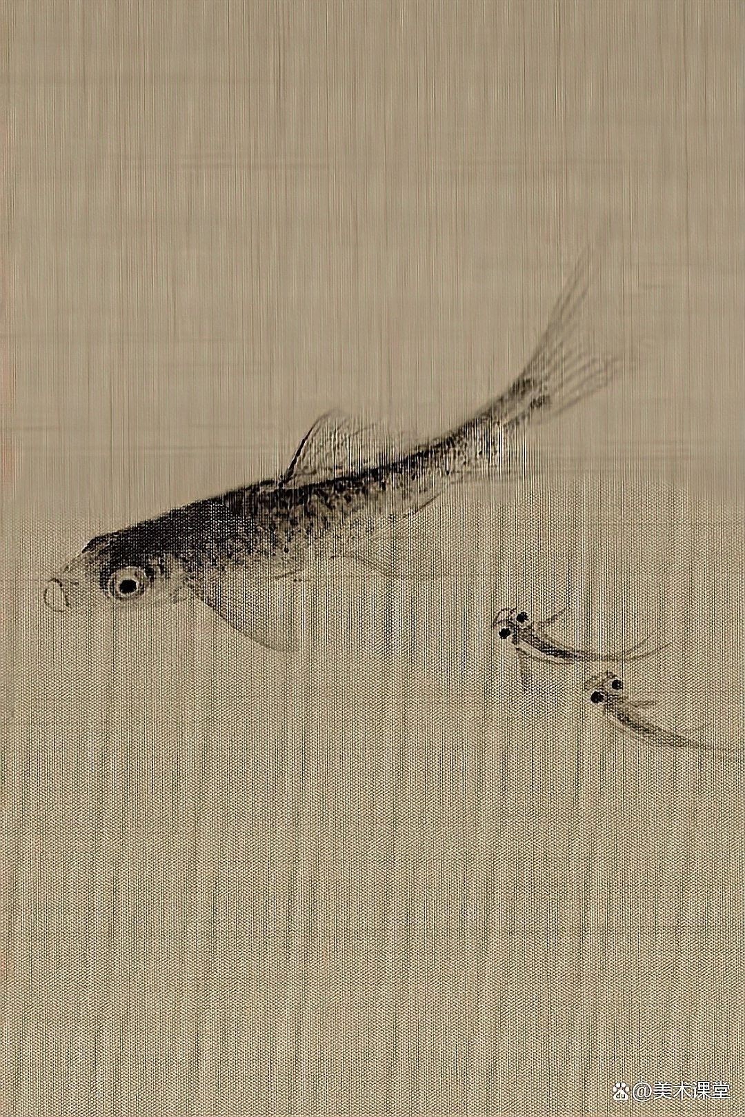 青龍魚高清大圖有哪些風格？：青龍魚高清大圖 青龍魚高清大圖有哪些風格？：青龍魚高清大圖 龍魚百科 第3張
