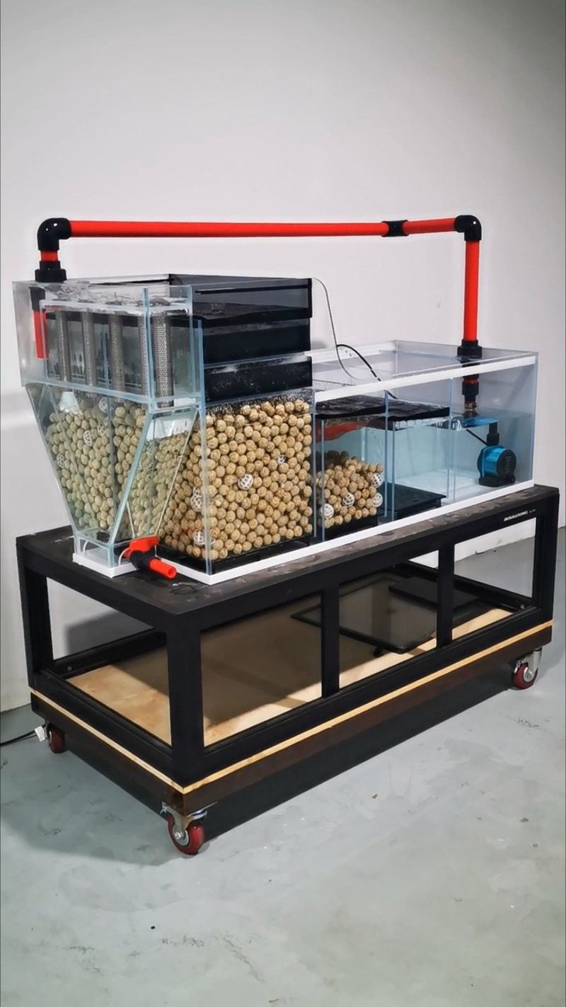 博世龍魚缸有哪些附加功能？：博世龍魚缸哪個型號性價比最高 博世龍魚缸有哪些附加功能？：博世龍魚缸哪個型號性價比最高 龍魚百科 第7張