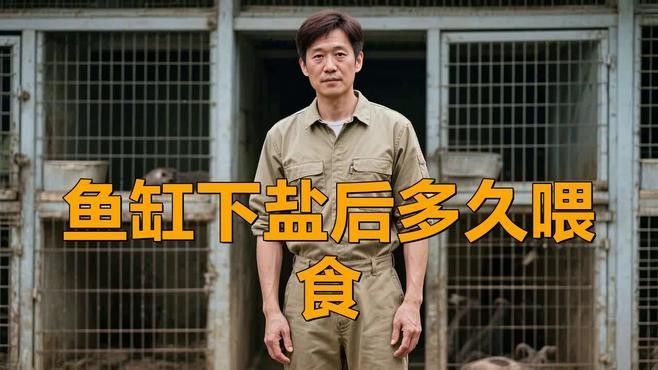 龍魚加鹽后多久見效：龍魚加鹽后多久喂食