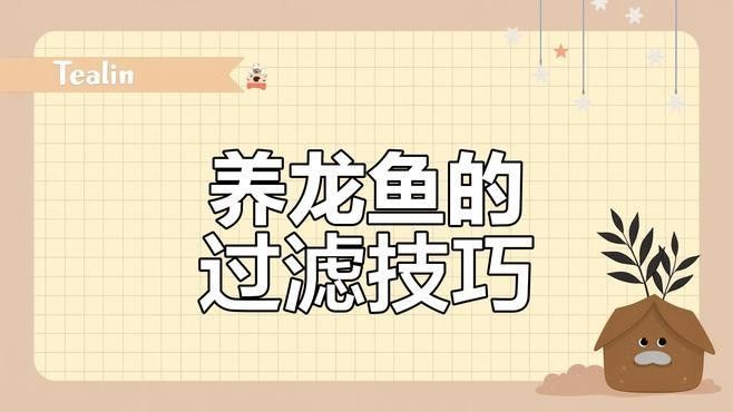 曼龍魚需要什么樣的過濾器？：曼龍魚過濾選擇大揭秘