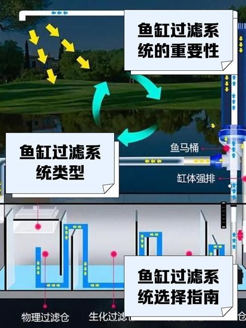 紅龍魚缸過濾系統(tǒng)多久清洗一次？：紅龍魚缸過濾系統(tǒng)清洗頻率大揭秘