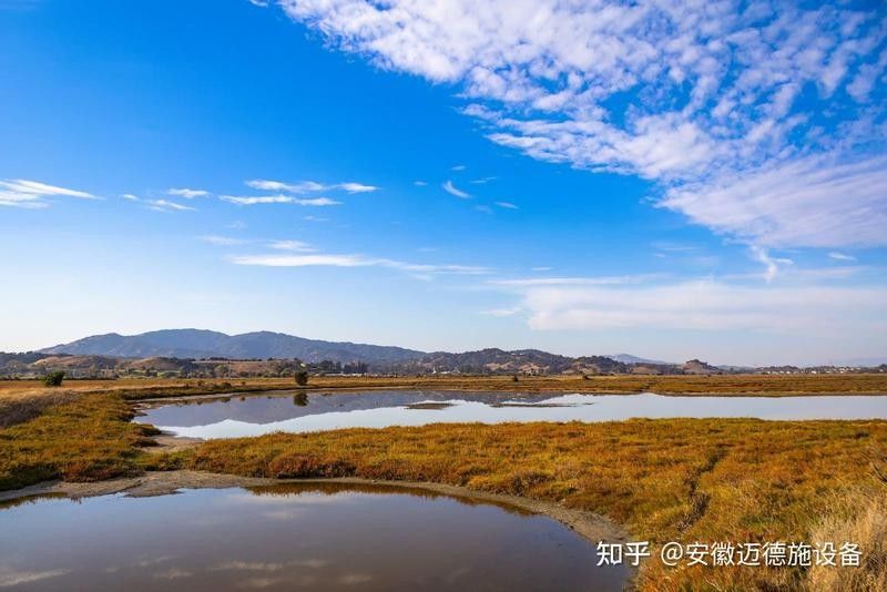 如何判斷水質是否需要調節：泛塘養魚第一線養殖高手調水秘訣,水質檢測與調節技巧全解析