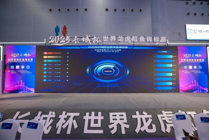 2025 長城杯世界龍虎魟魚錦標賽（龍魚組）