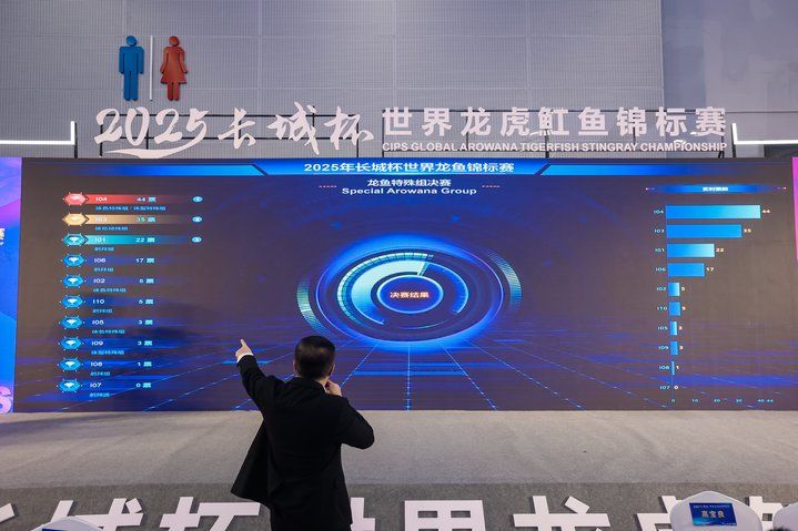 2025 長城杯世界龍虎魟魚錦標賽（龍魚組）