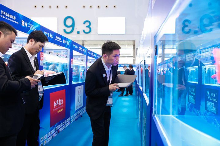 2025 長城杯世界龍虎魟魚錦標賽（龍魚組）