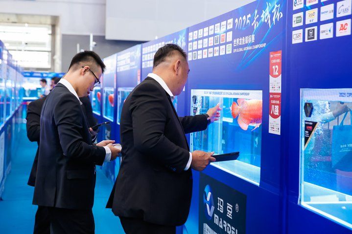 2025 長城杯世界龍虎魟魚錦標賽（龍魚組）