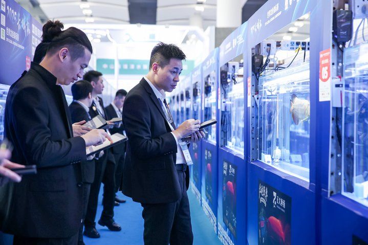 2025 長城杯世界龍虎魟魚錦標賽（龍魚組）