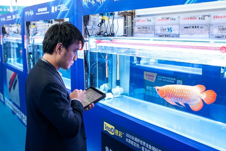2025 長城杯世界龍虎魟魚錦標賽（龍魚組）