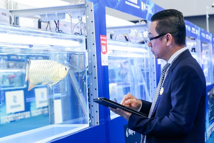 2025 長城杯世界龍虎魟魚錦標賽（龍魚組）