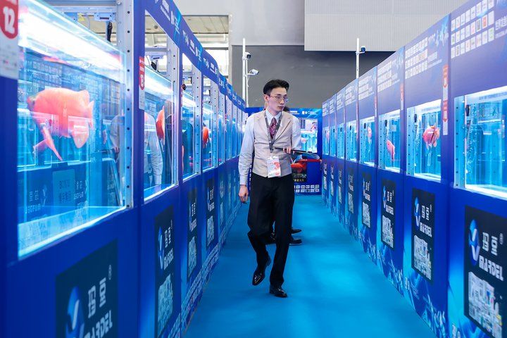 2025 長城杯世界龍虎魟魚錦標賽（龍魚組）