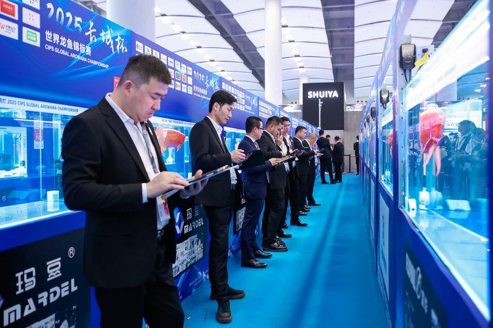 2025 長城杯世界龍虎魟魚錦標賽（龍魚組）