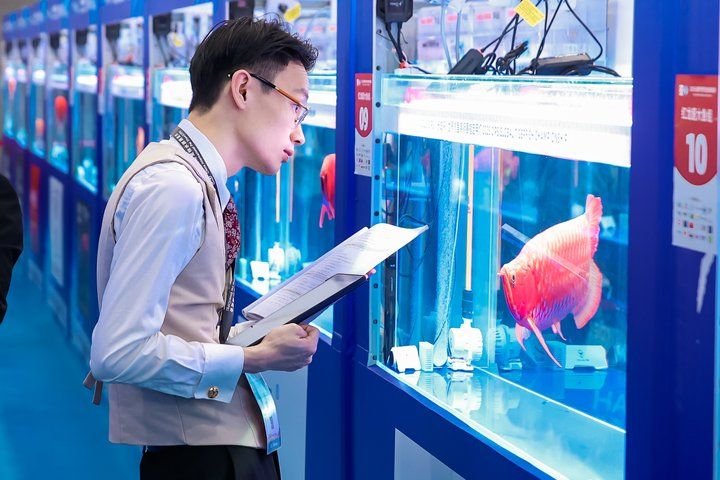 2025 長城杯世界龍虎魟魚錦標賽（龍魚組）