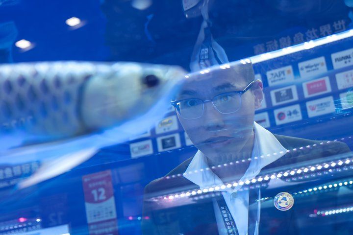 2025 長城杯世界龍虎魟魚錦標賽（龍魚組）