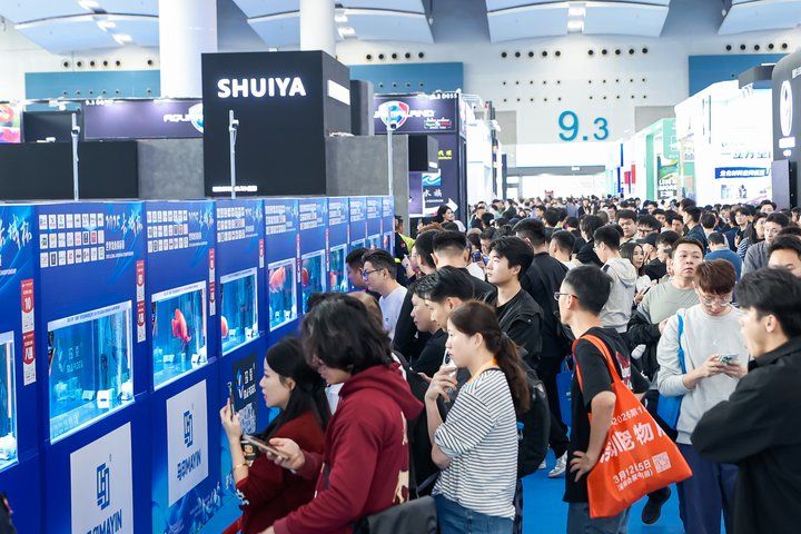 2025 長城杯世界龍虎魟魚錦標賽（龍魚組）