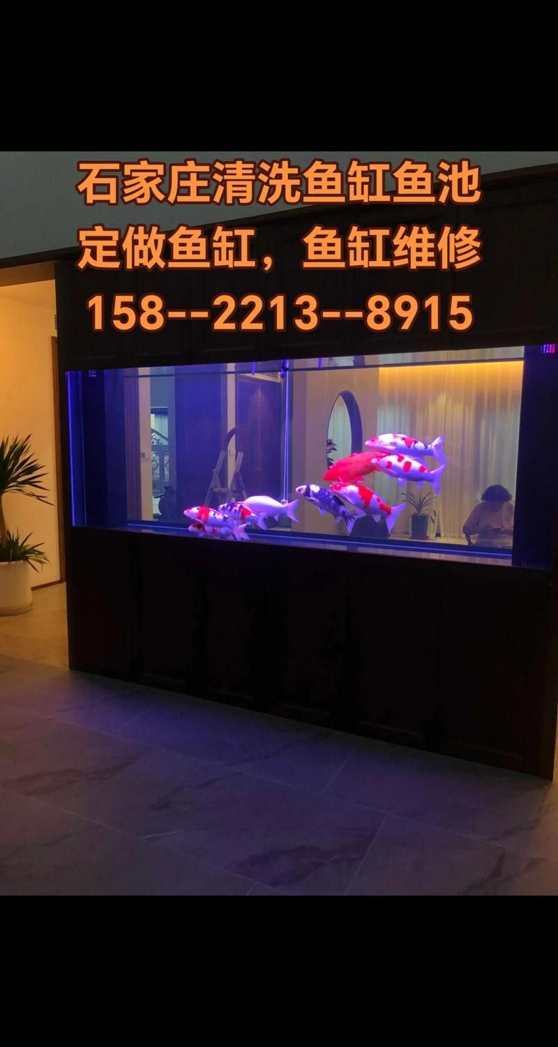 博士龍魚缸的售后服務(wù)如何：博士龍魚缸售后服務(wù)政策有哪些細(xì)節(jié)博士龍魚缸售后服務(wù)政策