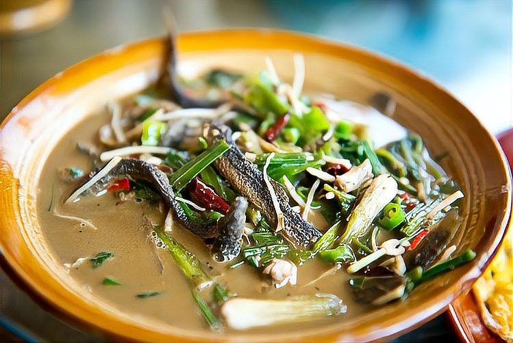 龍魚一次吃多少合適：如何正確喂養龍魚