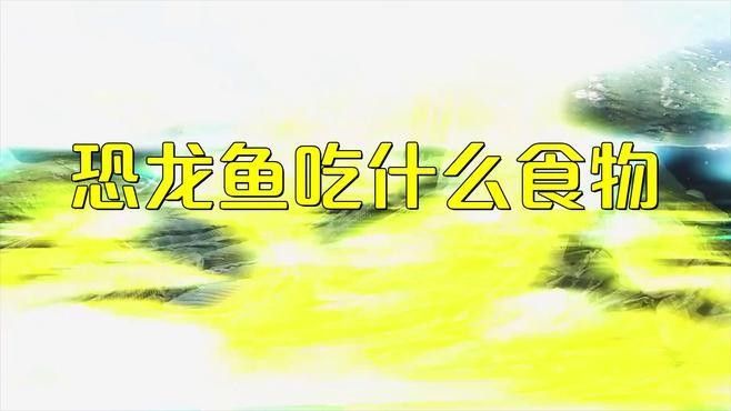 虎紋恐龍魚可以喂哪些食物：恐龍魚吃什么食物林野匠虎紋恐龍魚吃什么食物林野匠