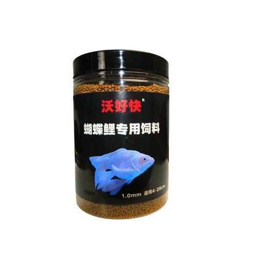金龍魚和蝴蝶鯉的食物選擇：金龍魚和蝴蝶鯉混養(yǎng)需要注意什么？