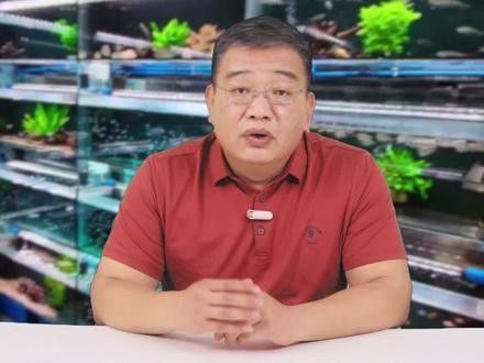 金龍魚和蝴蝶鯉的食物選擇：金龍魚和蝴蝶鯉混養(yǎng)需要注意什么？