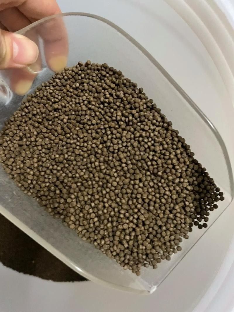 金龍魚和蝴蝶鯉的食物選擇：金龍魚和蝴蝶鯉混養(yǎng)需要注意什么？