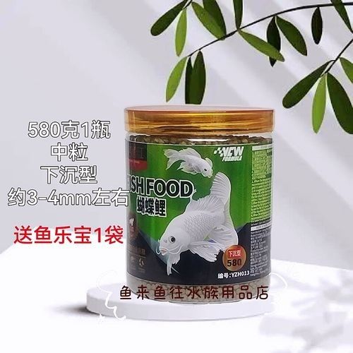 金龍魚和蝴蝶鯉的食物選擇：金龍魚和蝴蝶鯉混養(yǎng)需要注意什么？