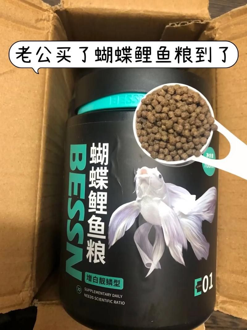 金龍魚和蝴蝶鯉的食物選擇：金龍魚和蝴蝶鯉混養(yǎng)需要注意什么？
