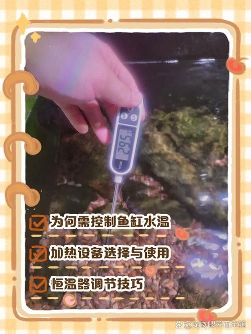 如何穩定龍魚缸的水溫：不同品種龍魚對水溫需求存在差異：銀龍魚對水溫需求存在差異