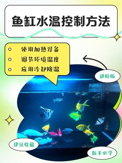 如何穩定龍魚缸的水溫：不同品種龍魚對水溫需求存在差異：銀龍魚對水溫需求存在差異