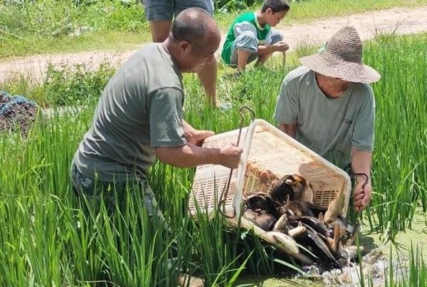 大理白族自治州還有哪些龍魚養殖基地？：大理白族自治州與龍魚（或鱒魚/三文魚）相關的養殖基地有兩處