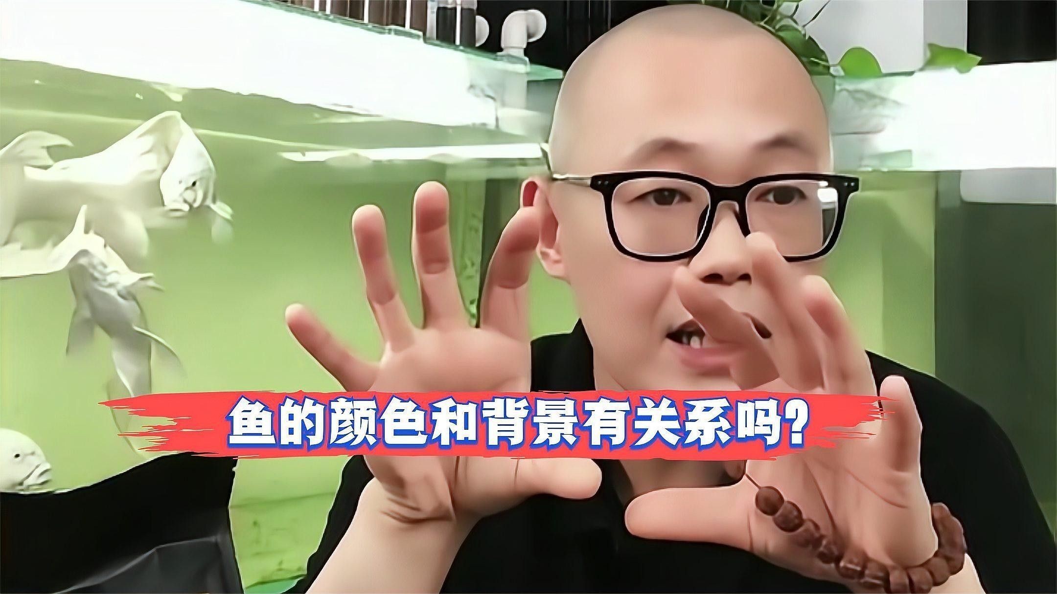 金龍魚缸背景色對生長有影響嗎：選擇龍缸底色和背景色的重要性