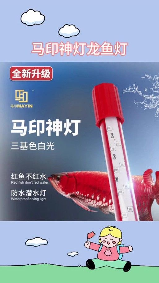 如何選擇適合金龍魚的燈具：——龍魚燈光使用方法