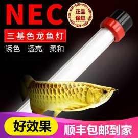 紅龍魚用什么品牌的燈比較好：紅龍魚專用燈-紅龍魚燈管使用