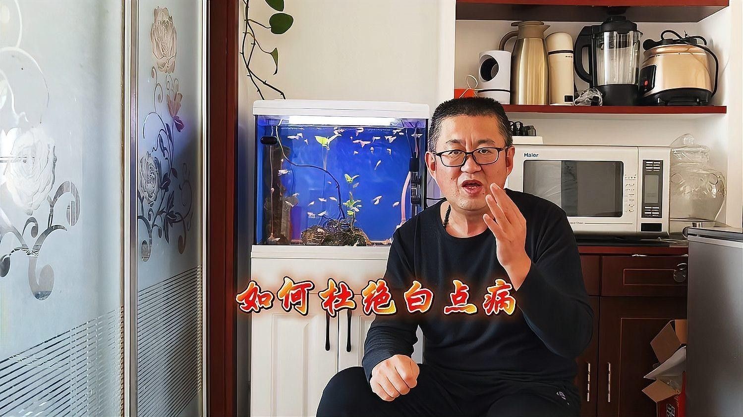 如何預防雷龍魚的白點病：雷龍魚得了白點病怎么辦養魚小藝雷龍魚飼養全攻略
