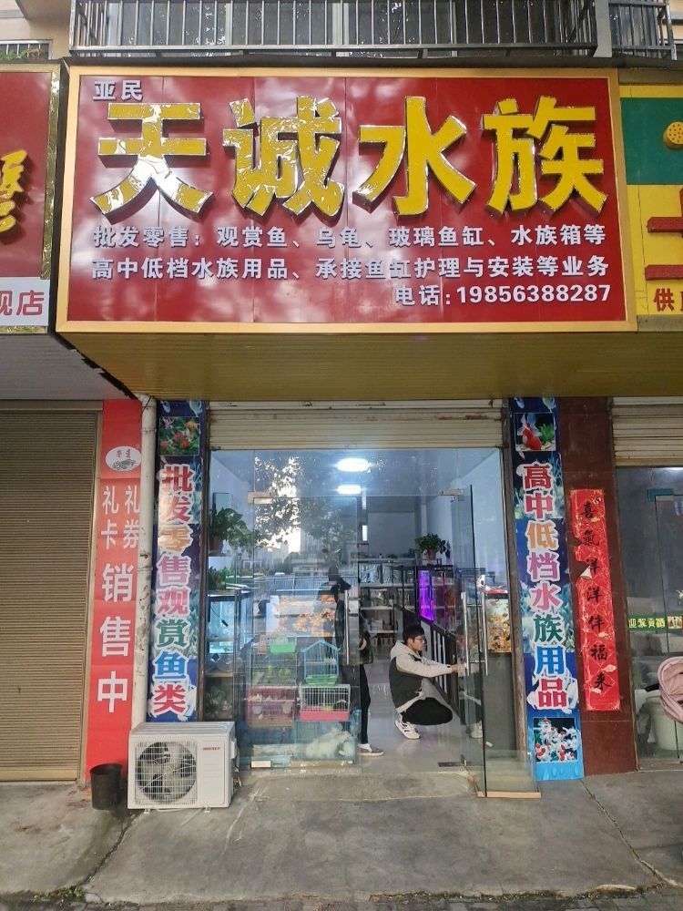 桐城哪個水族館龍魚好？祥龍魚場龍魚：桐城哪個水族館的龍魚性價比最高？