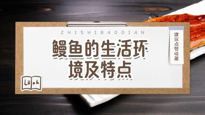 能詳細介紹一下金色海鰻嗎？：金色海鰻捕撈過程