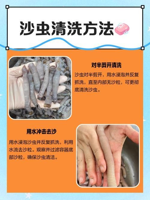 哪種沙子最容易清洗：不同類型沙子的特點是清洗難易程度的分析及推薦及推薦
