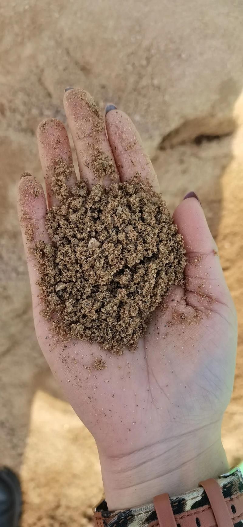 哪種沙子最容易清洗：不同類型沙子的特點是清洗難易程度的分析及推薦及推薦