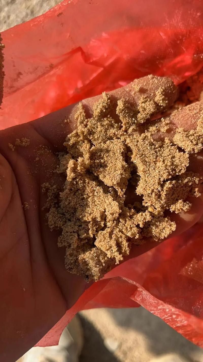 哪種沙子最容易清洗：不同類型沙子的特點是清洗難易程度的分析及推薦及推薦