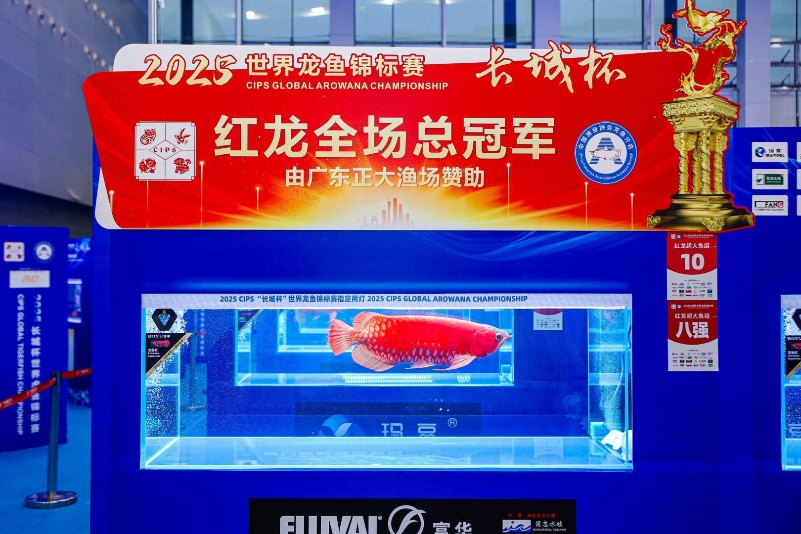 詳細閱讀:2025 長城杯世界龍虎魟魚錦標賽(全場總冠軍):2025長城杯世界龍虎魟魚錦標賽全場總冠軍 2025 長城杯世界龍虎魟魚錦標賽(全場總冠軍):2025長城杯世界龍虎魟魚錦標賽全場總冠軍