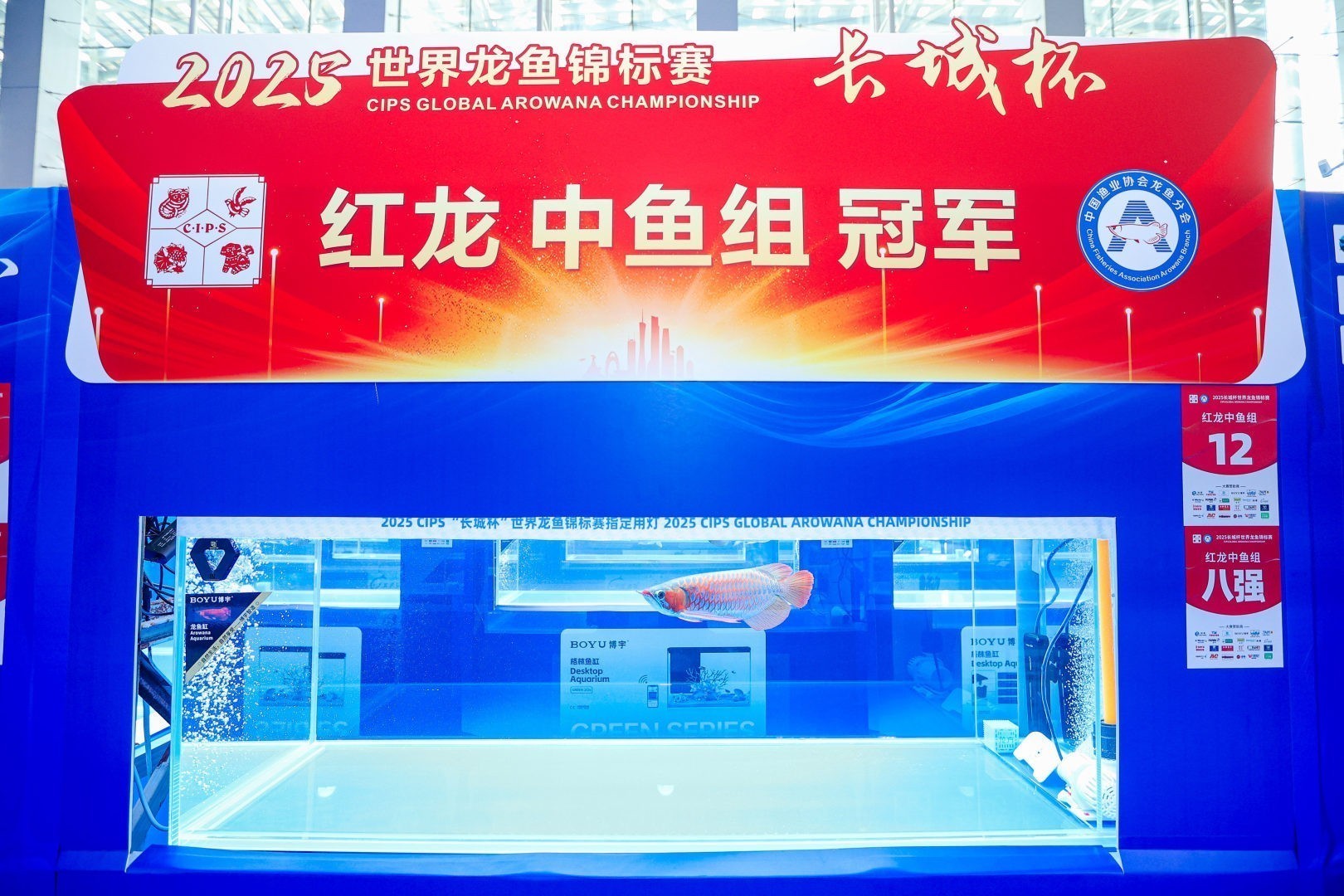 2025 長城杯世界龍虎魟魚錦標賽（全場總冠軍）：2025長城杯世界龍虎魟魚錦標賽全場總冠軍