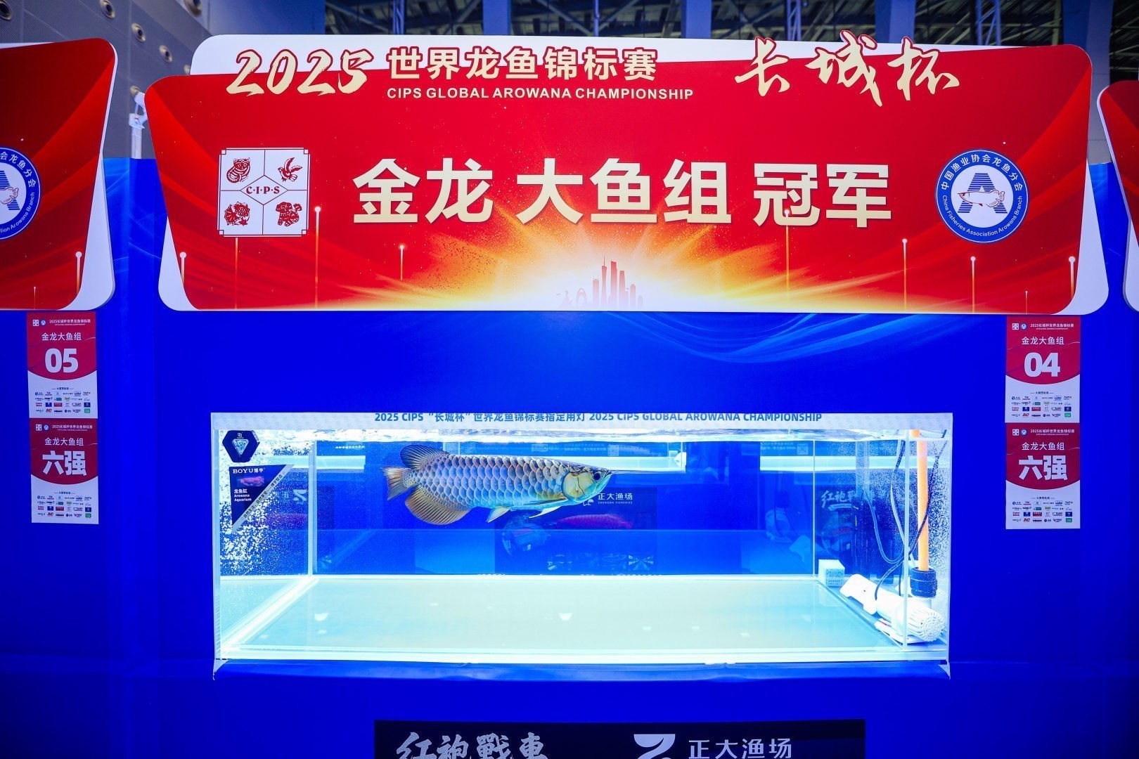 2025 長城杯世界龍虎魟魚錦標賽（全場總冠軍）：2025長城杯世界龍虎魟魚錦標賽全場總冠軍