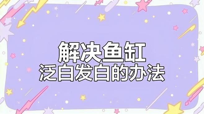 龍魚缸水發(fā)白，需要多久才能恢復(fù)：魚缸水體發(fā)白怎么辦