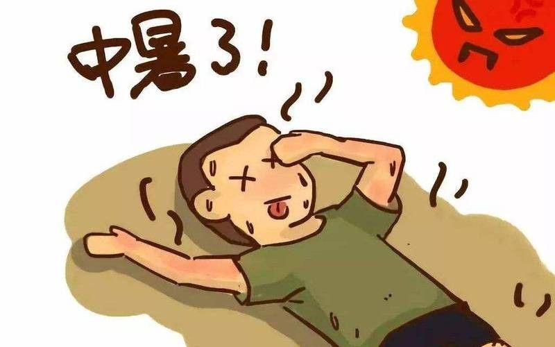 森森和西龍哪個(gè)更智能：森森和西龍?jiān)谥悄墚a(chǎn)品領(lǐng)域的表現(xiàn)各有側(cè)重